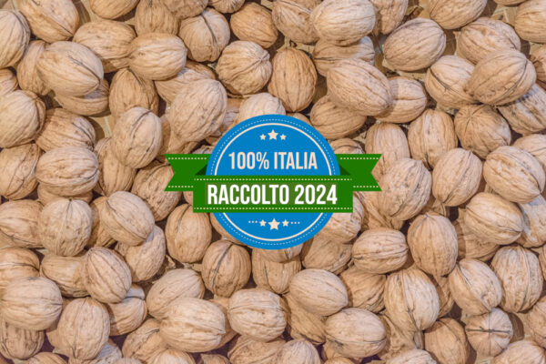 Noci Chandler Italia 2023 - Box 10,0 Kg - immagine 3
