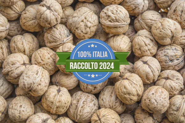 Noci Lara Italia 2024 - Box 10 Kg - immagine 3